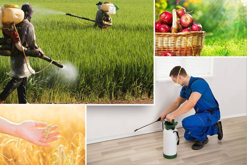 🔴🔴PESTİSİTLER  (zehirler)
.
🔶️Pestisitler (tarım ilacları)  nasıl temizlenir ?
🔶️Bu Pestisitler hangi hastalikları tetikler, neler yapmak gerekir ?

🟢 SİZE BASİT BİR SORU

➖️Binanızın çatısında 10 TONLUK su deposu var, ve evin su ihtiyacı bu depodan karşılanıyor. İçine