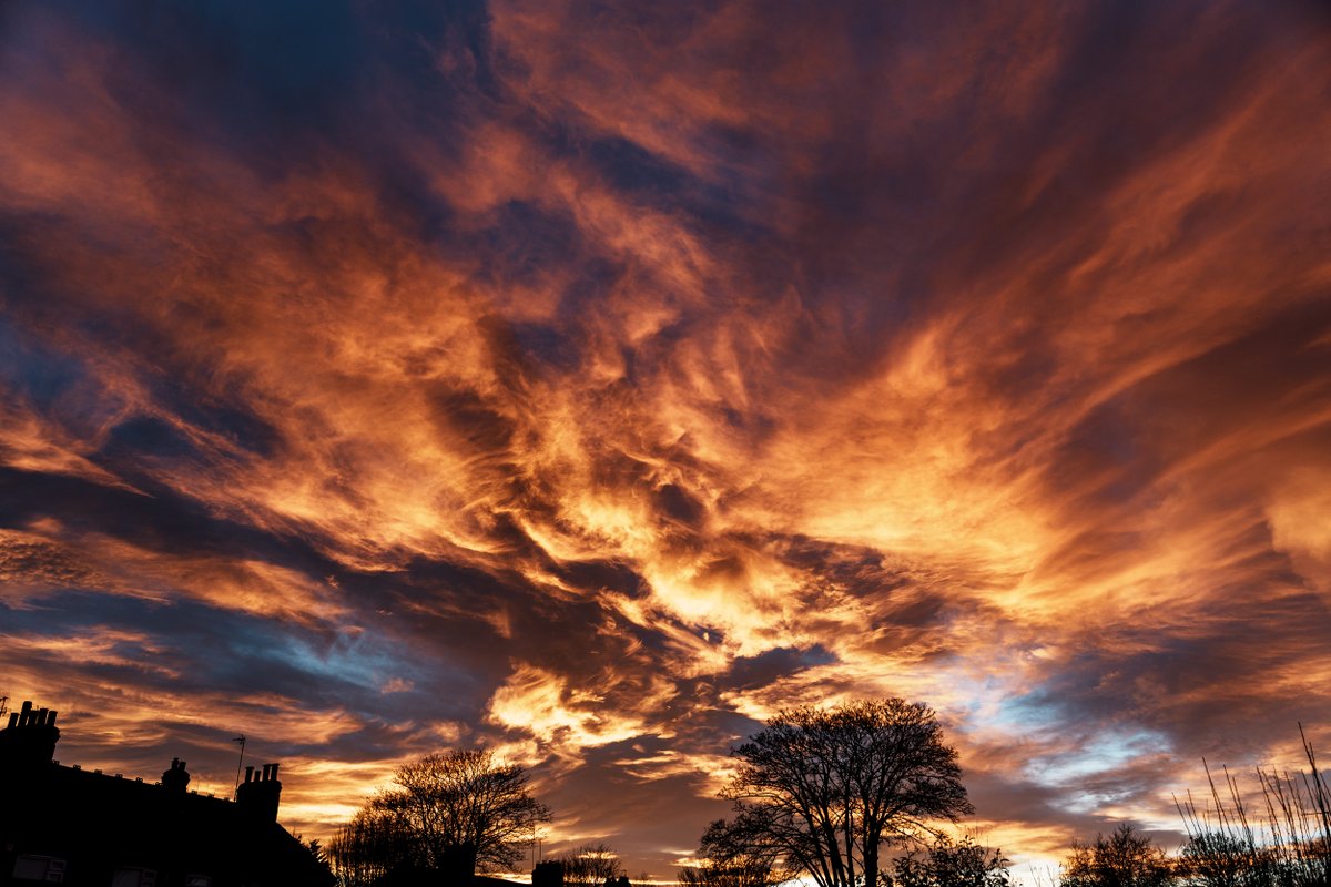 Gina Rayment tweet media