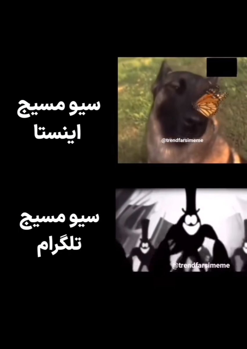 9520Ra's tweet image. ذات تلگرام.