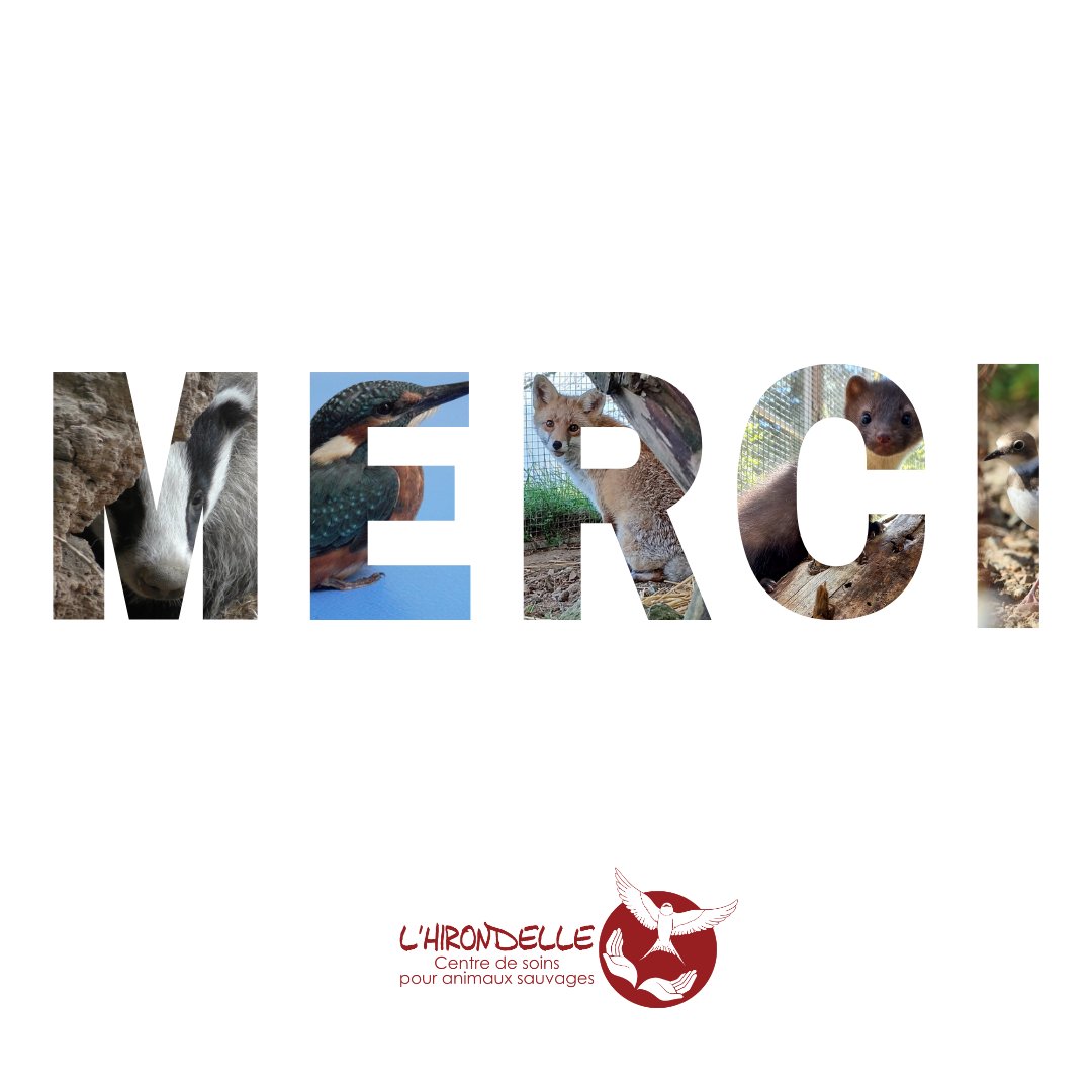 Certains jours, tout semble insurmontable. On se demande si l'on pourra tenir le rythme.

Et on pense à vous : à vos messages, à vos dons, à vos encouragements. 

Vous êtes notre force. Et quelle force ! Merci de nous permettre de continuer nos missions, jour après jour. ❤️