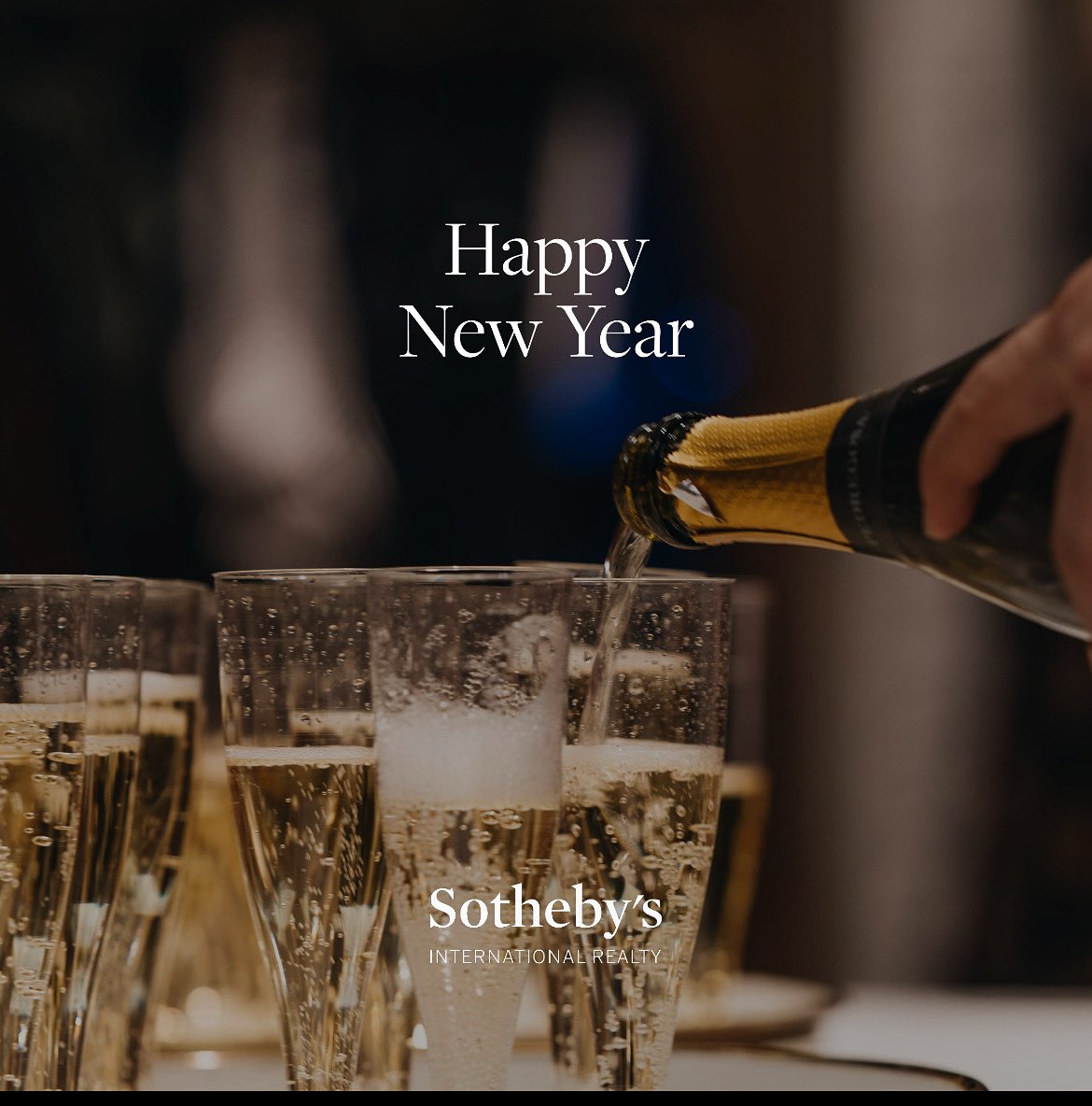 Cassandra Seidenfeld tweet media