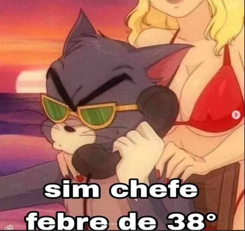 sim, chefe
