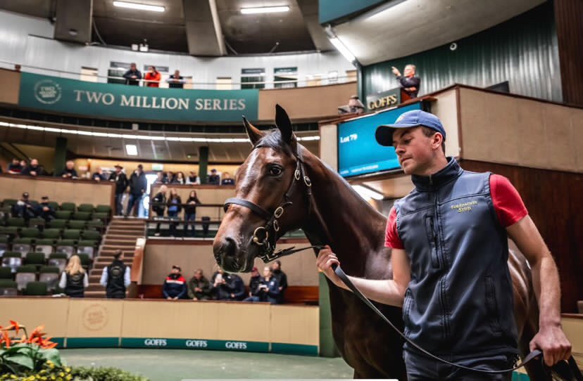 Congratulations to Ciarán Phelan, our first recipient of our 2025 Kentucky Farm Experience scholarship! He was awarded the John Fitzpatrick Buisiness Internship after graduating from the Irish National Stud course in 2023, and will spend the year working at Springhouse Farm.