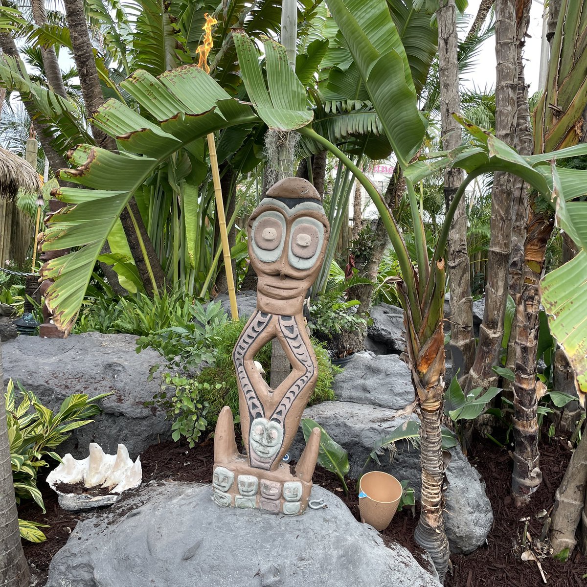 theatomicgrog (@theatomicgrog) on Twitter photo Images from <a href="/TheMaiKai/">The Mai-Kai</a> 68th anniversary on Dec. 28, Part 1: The historic restaurant marked the occasion by opening the back garden and walking paths to the public for the first time since the 2020 closing. Here's a sneak peek before guests arrived. #maikai #maikaireopening Images from <a href="/TheMaiKai/">The Mai-Kai</a> 68th anniversary on Dec. 28, Part 1: The historic restaurant marked the occasion by opening the back garden and walking paths to the public for the first time since the 2020 closing. Here's a sneak peek before guests arrived. #maikai #maikaireopening