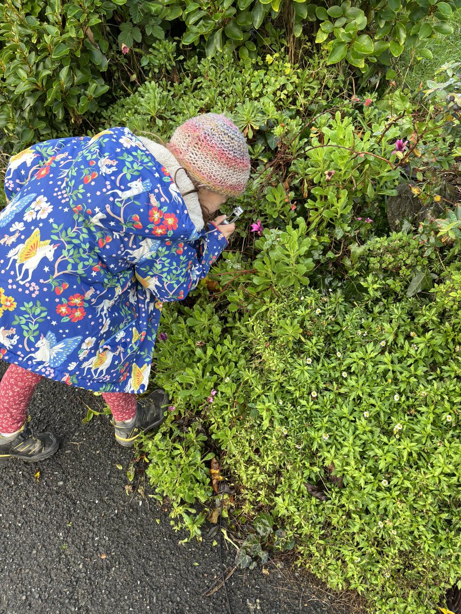 We don't hear nearly enough about botanists as style icons, but check out what 2 very fashionable plant hunters wore on their #NewYearPlantHunt: 
<a href="/NatureLark/">Moira O'Donnell 🏴󠁧󠁢󠁳󠁣󠁴󠁿</a> teamed her boots to the task at hand &amp; Ada <a href="/danryan_nature/">Dan Ryan</a> opted for a gorgeous coat. 
What will you wear for your Hunt?