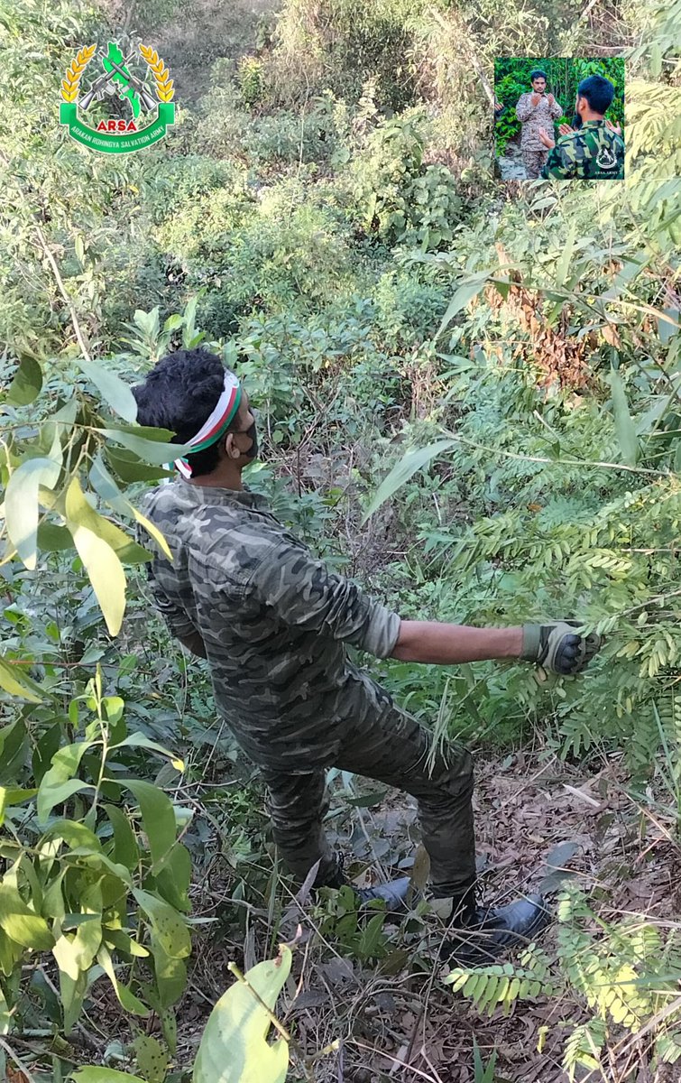MohammedAn25309's tweet photo. ARSA ZINDABAD. https://t.co/45t7M64qm5
