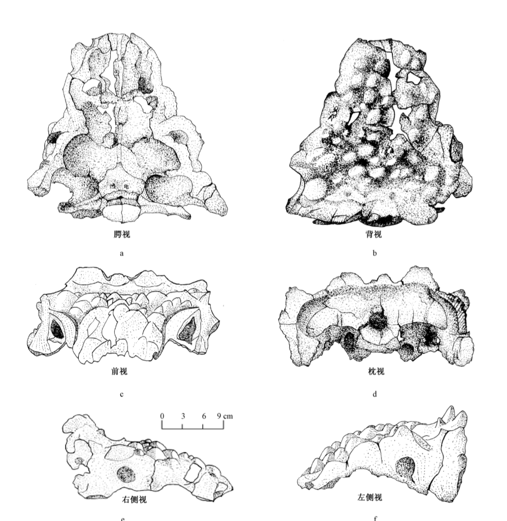 The last new dinosaur of 2024? Pang et al. 2024 A New Species of Ankylosaurian Dinosaur——Tianzhenosaurus chengi sp. nov., from the Late Cretaceous of Tianzhen County, Shanxi Province, China cnki.net/KCMS/detail/de…