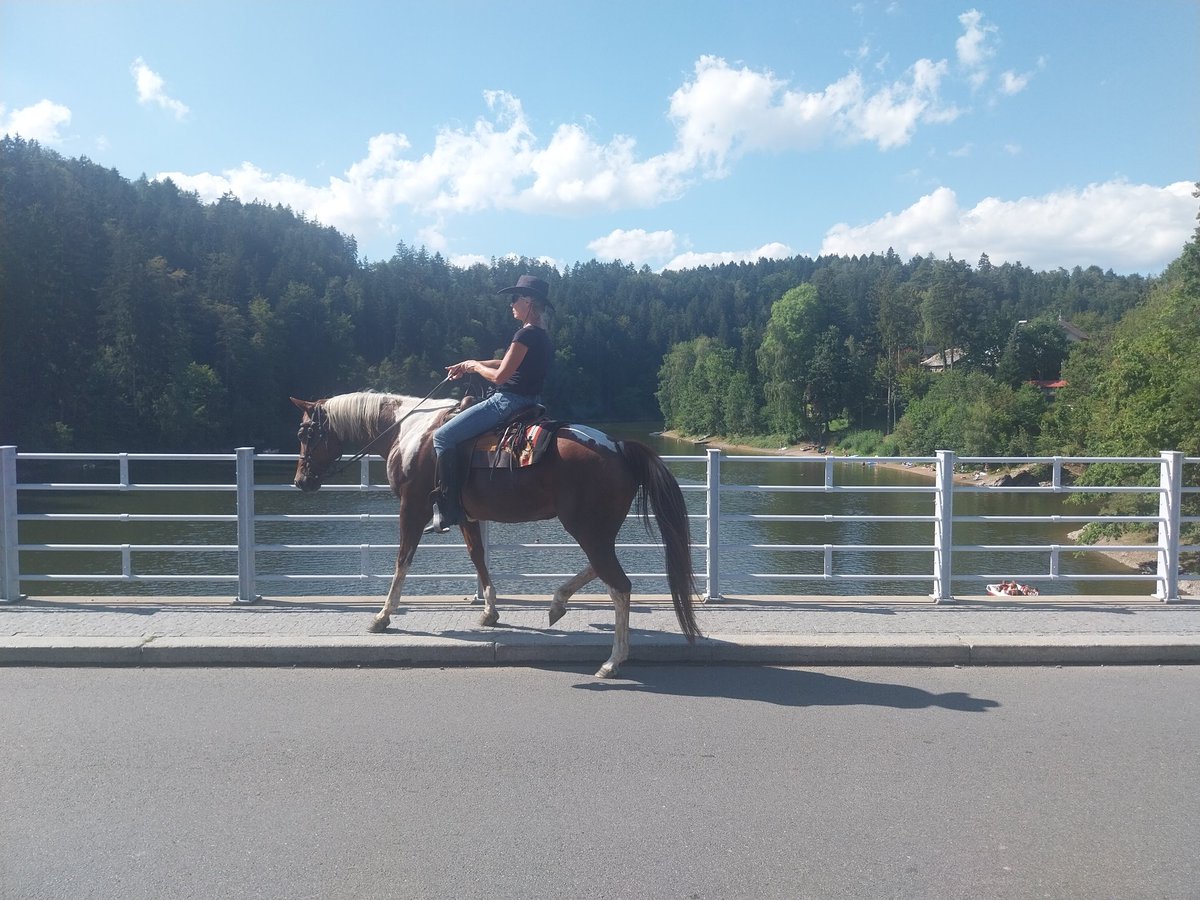 Michal Kopy tweet media