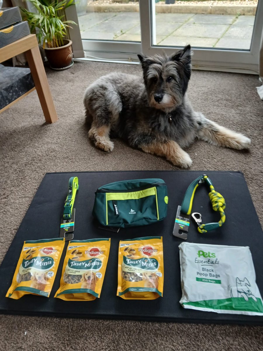 Sponsor dog Sophie would like to thank all the Secret Santas who kindly donated. She has some treats and items for walkies 😊