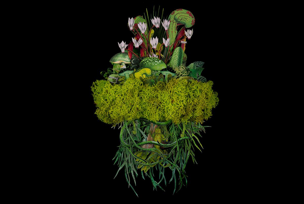 Resurgence Trust 🌎 (@resurgence_mag) on Twitter photo Living Proof - Sharing a sense of wonder and celebration > resurgence.org/magazine/artic…
What a joyous theme – The Gift of Life – and what an exuberant cover by the talented artist <a href="/JanaNicole_art/">jananicole</a> to instil a sense of wonder and appreciation for everything that this phrase might mean. Living Proof - Sharing a sense of wonder and celebration > resurgence.org/magazine/artic…
What a joyous theme – The Gift of Life – and what an exuberant cover by the talented artist <a href="/JanaNicole_art/">jananicole</a> to instil a sense of wonder and appreciation for everything that this phrase might mean.