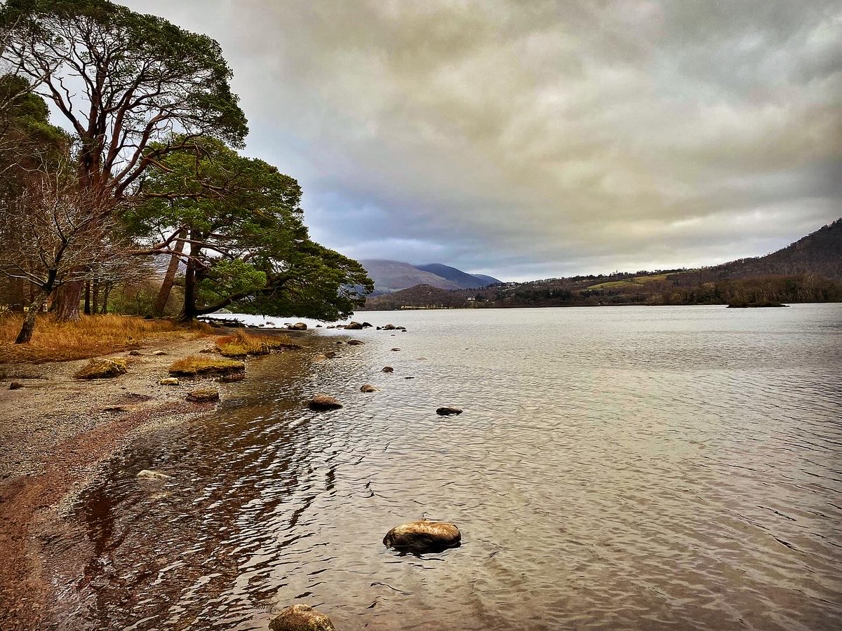 old croft house tweet media