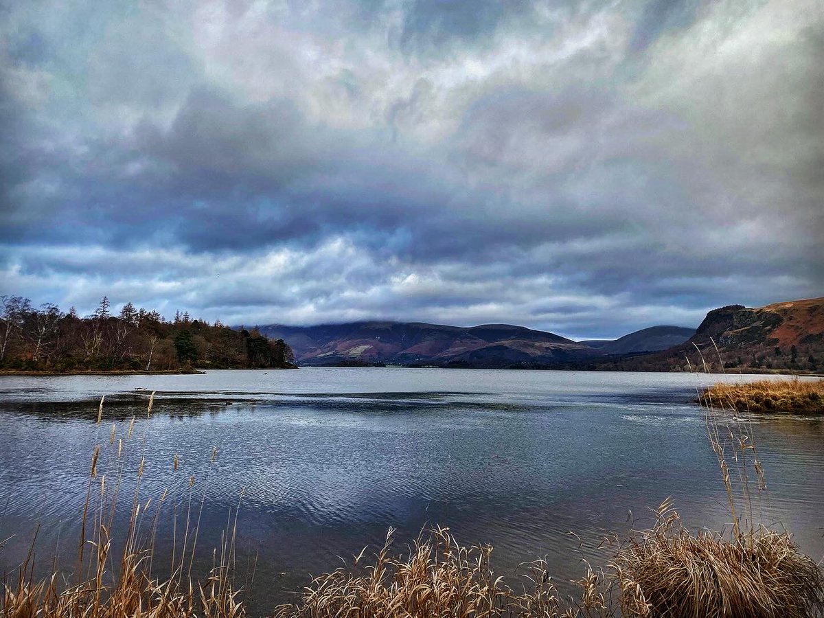 old croft house tweet media