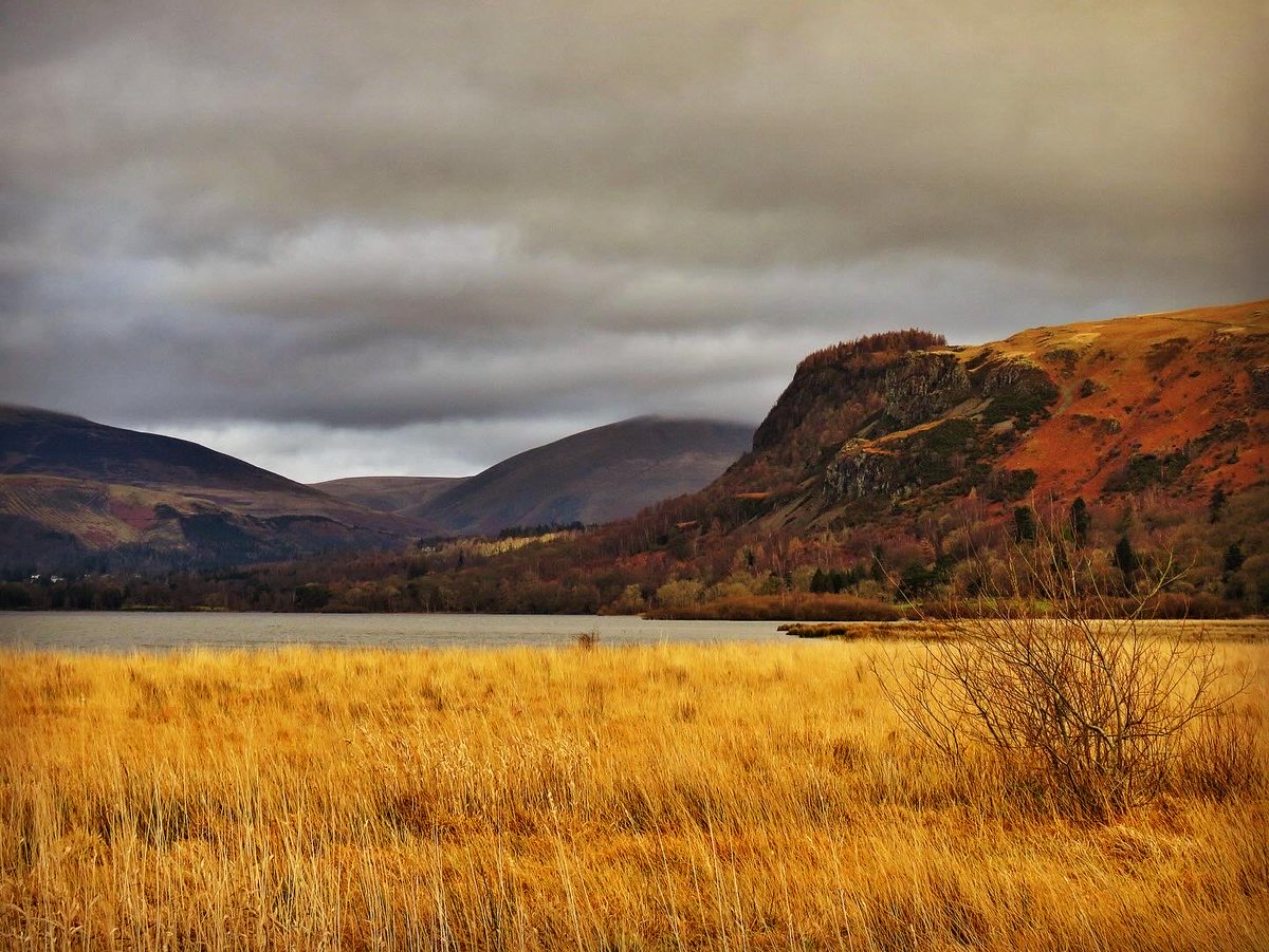 old croft house tweet media