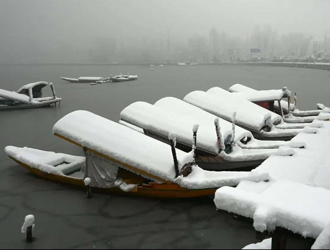 #kashmirsnowfall