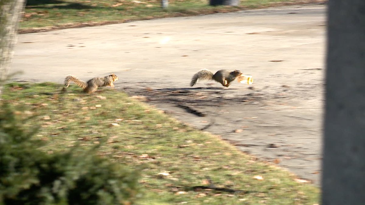 Michael E Martin tweet media