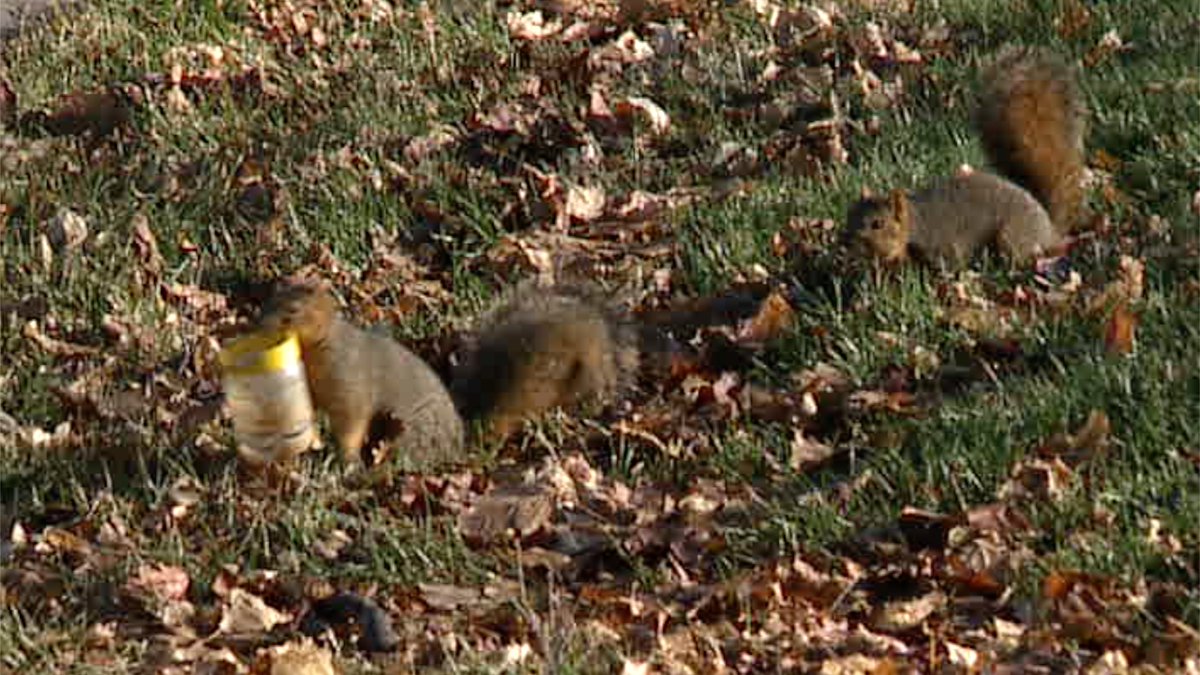 Michael E Martin tweet media