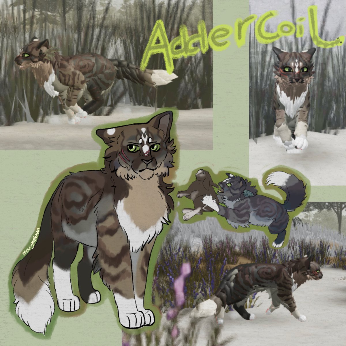 MoonyMothmen's tweet photo. Warrior cats: ultimate edition has its issues but the character creator is mad addictive lol. new oc, she is in Windclan :3 #warriorcats #wcue https://t.co/0qjqvtVSNP
