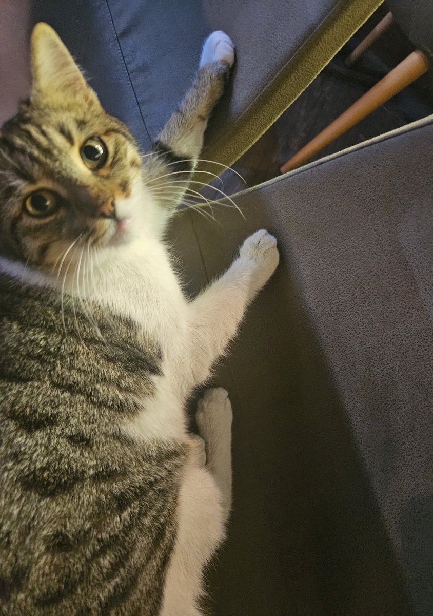 mork 🍉 | #6284 rest (@qinuoyis) on Twitter photo 