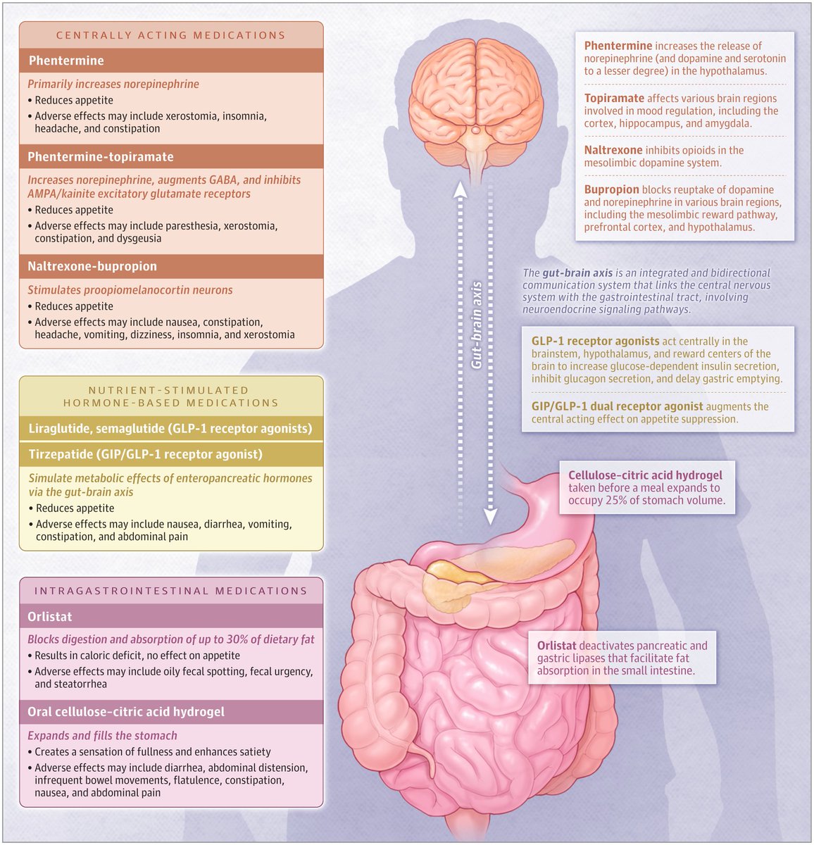 JAMA (@jama_current) on Twitter photo <a href="/LRSorce/">Lauren R. Sorce</a> <a href="/SebastianPalmqv/">Sebastian Palmqvist</a> <a href="/NiklasMattsson4/">Niklas Mattsson-Carlgren</a> <a href="/criticcaredoc/">Jan De Waele MD</a> <a href="/TobyMMaher/">Toby Maher</a> <a href="/AlexSpyropoul/">Alex Spyropoulos</a> Most Viewed JAMA 2024: Medications for Obesity
🔗 ja.ma/3Djs3ab
<a href="/DrRobertKushner/">Dr Robert Kushner</a> <a href="/LRSorce/">Lauren R. Sorce</a> <a href="/SebastianPalmqv/">Sebastian Palmqvist</a> <a href="/NiklasMattsson4/">Niklas Mattsson-Carlgren</a> <a href="/criticcaredoc/">Jan De Waele MD</a> <a href="/TobyMMaher/">Toby Maher</a> <a href="/AlexSpyropoul/">Alex Spyropoulos</a> Most Viewed JAMA 2024: Medications for Obesity
🔗 ja.ma/3Djs3ab
<a href="/DrRobertKushner/">Dr Robert Kushner</a>