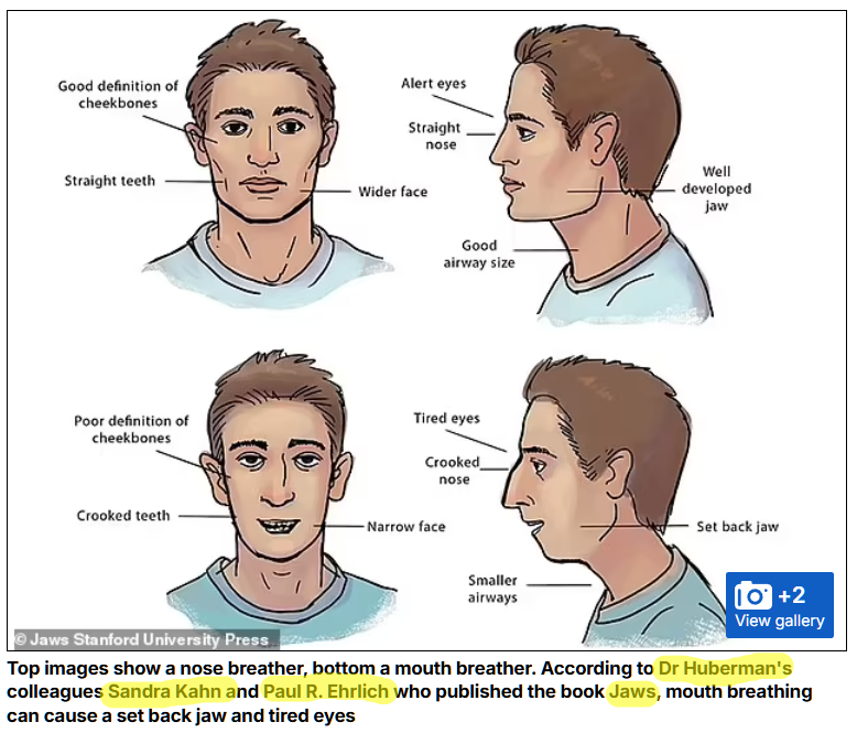 Balloony Fren (@balloonyfren) on Twitter photo 