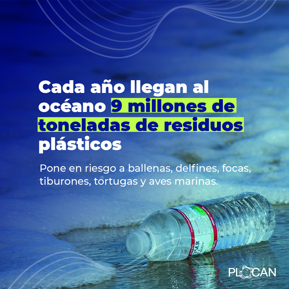 🌊 La contaminación por plásticos sigue siendo un desafío crítico para nuestros océanos, poniendo en riesgo a muchas especies marinas

🐋🐬 Desde #PLOCAN, trabajamos en colaboración con instituciones científicas para abordar este problema y proteger a la fauna marina

#ICTSNews