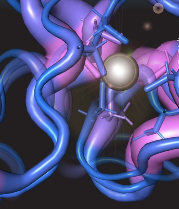IrinaBezsonova's tweet photo. Happy to share our newest publication:

Differences in structure, dynamics and Zn-coordination between isoforms of human ubiquitin ligase UBE3A 

Now at @jbiolchem Journal of Biological Chemistry 

https://t.co/RJqVdnX73q https://t.co/6J3sJ7OlfX
