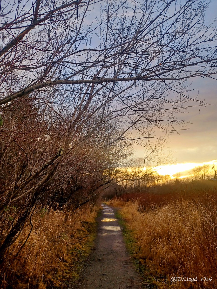 Jennifer Lloyd, Ph.D. tweet media