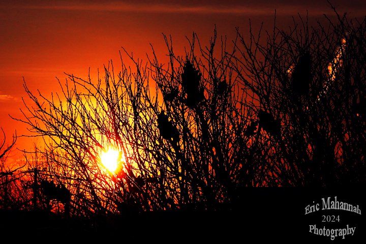 EricMahannah's tweet photo. The Sun Sets On 2024 - Le soleil se couche sur 2024
https://t.co/UQgEdptUal
#yearinreview2024 #sunset #sunsetphotography #sunsetlovers #sunsetsky #redskyatnight #nature #feathergrass #naturephotography #naturelovers #canonusa #canoncanada #seeyounextyear https://t.co/nkJjso8nr2