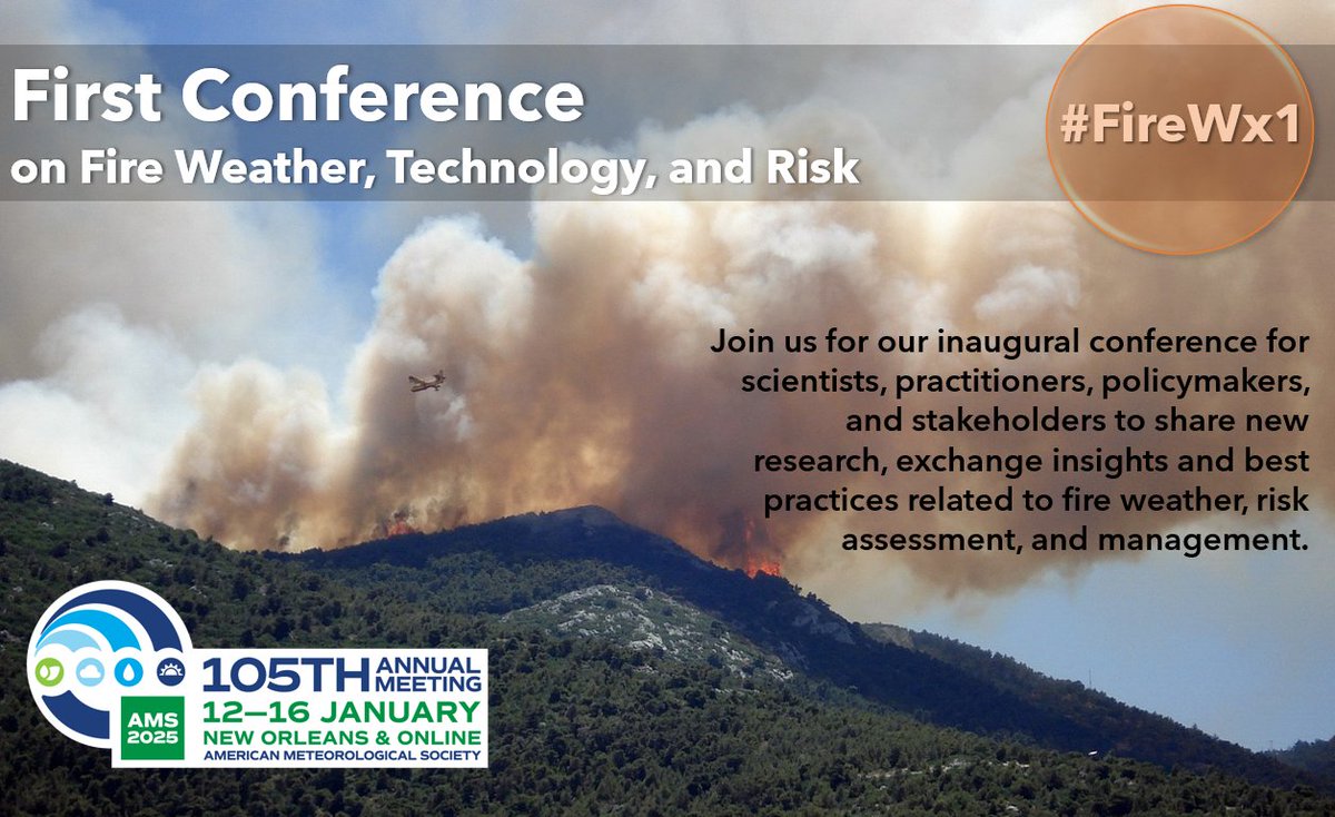 lisakriederman tweet media