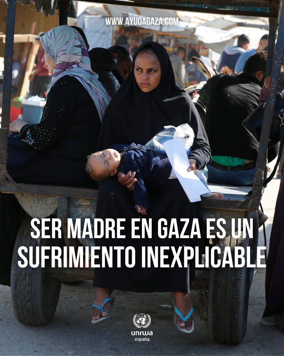 Ser madre en #Gaza es un sufrimiento inexplicable.
Es desplazarse para buscar una seguridad que no existe.
Es saber que no puedes hacer nada para mantener a tu bebé a salvo.
Su desesperación es absoluta, pero a pesar de todo, siguen intentando lo imposible por sus hijos e hijas.