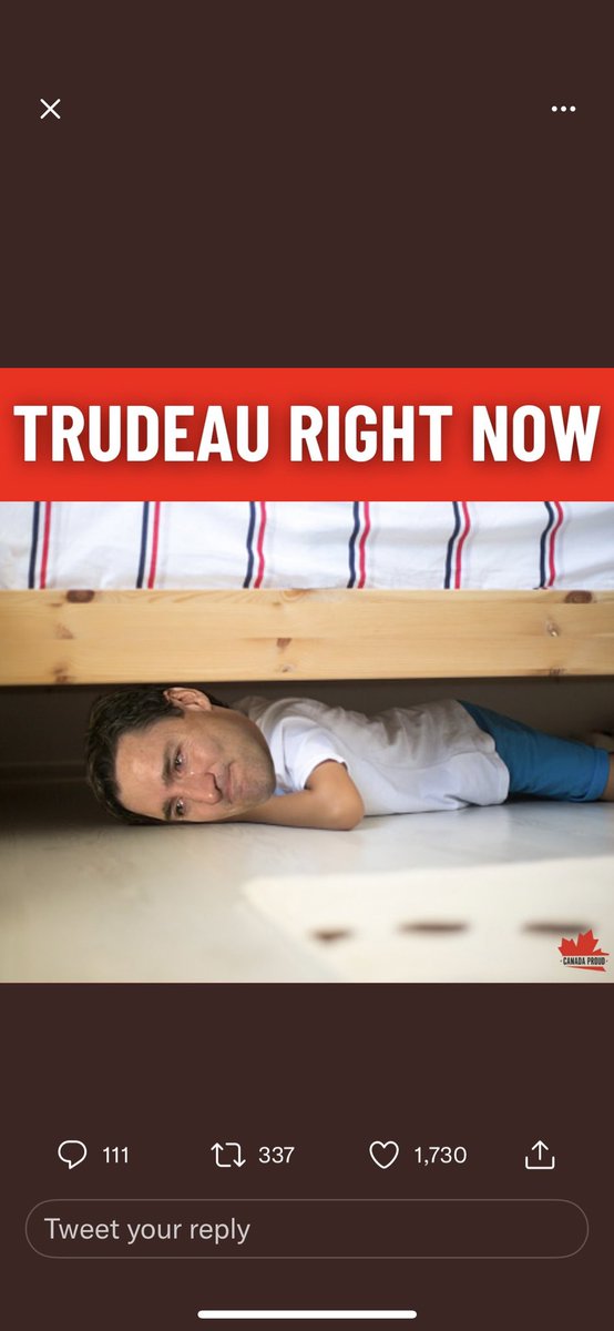 Tristy111's tweet photo. @TheBuckYouWill @JustinTrudeau https://t.co/AueDHQGLHz