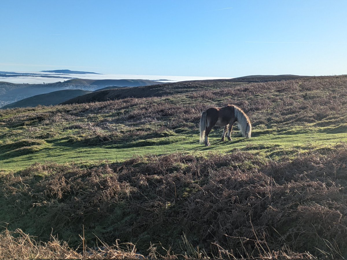 A perfect Boxing day walking on the Long Mynd, family fun, a beautiful mare and foal and spectacular inverted cloud. #campervanlife  <a href="/candmclub/">Caravan and Motorhome Club</a> <a href="/CW_Guild/">CaravanWriters'Guild</a> #shropshire #churchstretton #cardingmillvalley