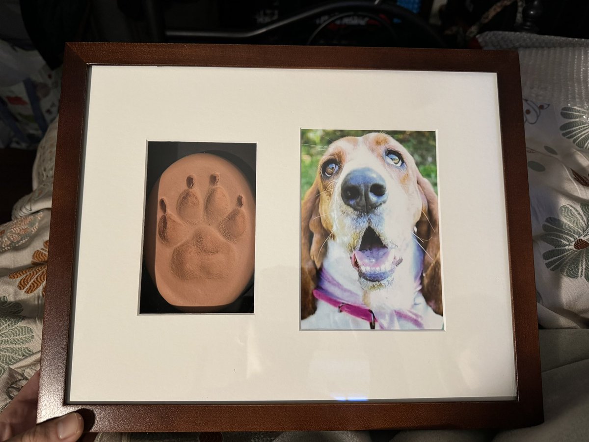 OpTic Pamaj tweet media