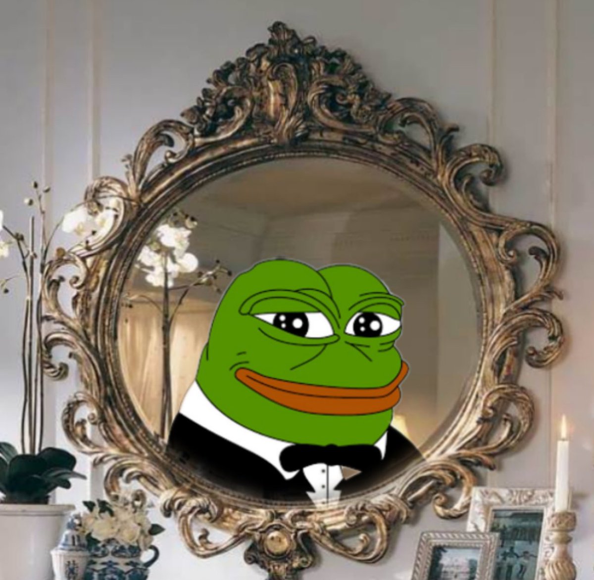 AlchemistTheOG's tweet photo. Don’t turn your back on memes 

We will rally in 2025 

$pepe https://t.co/YL4am4iDqN