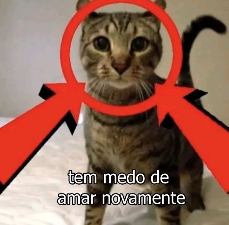 elma maria pinto tweet media