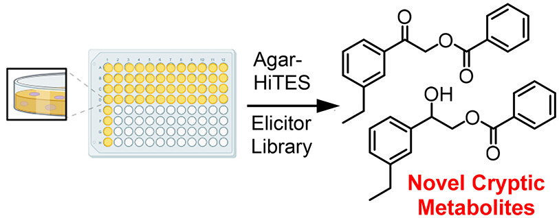 Biochemistry (@biochemistryacs) on Twitter photo Inducing expression of cryptic gene clusters can be challenging.
Lee et al test two Burkholderia species using high-throughput elicitor screening, finding new molecules with unusual modifications.
pubs.acs.org/doi/10.1021/ac…
<a href="/PrincetonChem/">Princeton Chemistry</a> <a href="/PrincetonMolBio/">Princeton MolBio</a> <a href="/PusanUni/">Pusan National University</a>
#biosynthesis Inducing expression of cryptic gene clusters can be challenging.
Lee et al test two Burkholderia species using high-throughput elicitor screening, finding new molecules with unusual modifications.
pubs.acs.org/doi/10.1021/ac…
<a href="/PrincetonChem/">Princeton Chemistry</a> <a href="/PrincetonMolBio/">Princeton MolBio</a> <a href="/PusanUni/">Pusan National University</a>
#biosynthesis