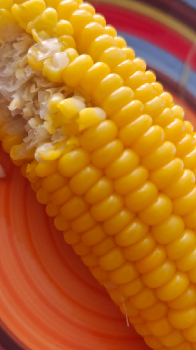 LeTempDu's tweet photo. Esos placeres simples de la vida #elote #choclo #corn https://t.co/GLXT2HnVu7
