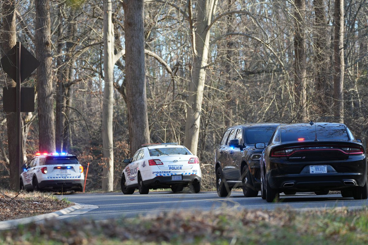 Andrew Leyden tweet media