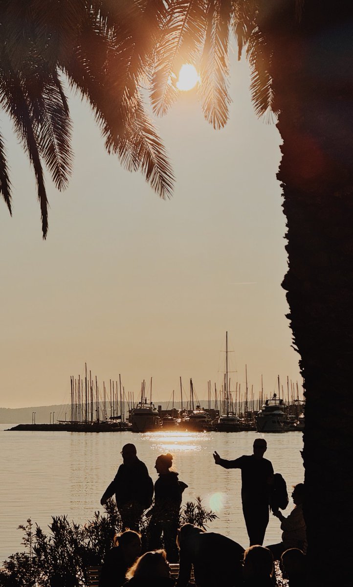 Marko Boko tweet media