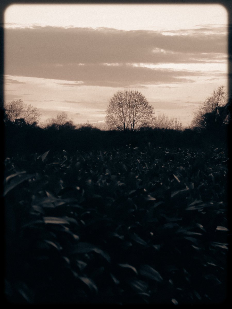 Silence...
#photograghy #Photographie #PhotographyIsArt #photo #mood #Monochrome #silence