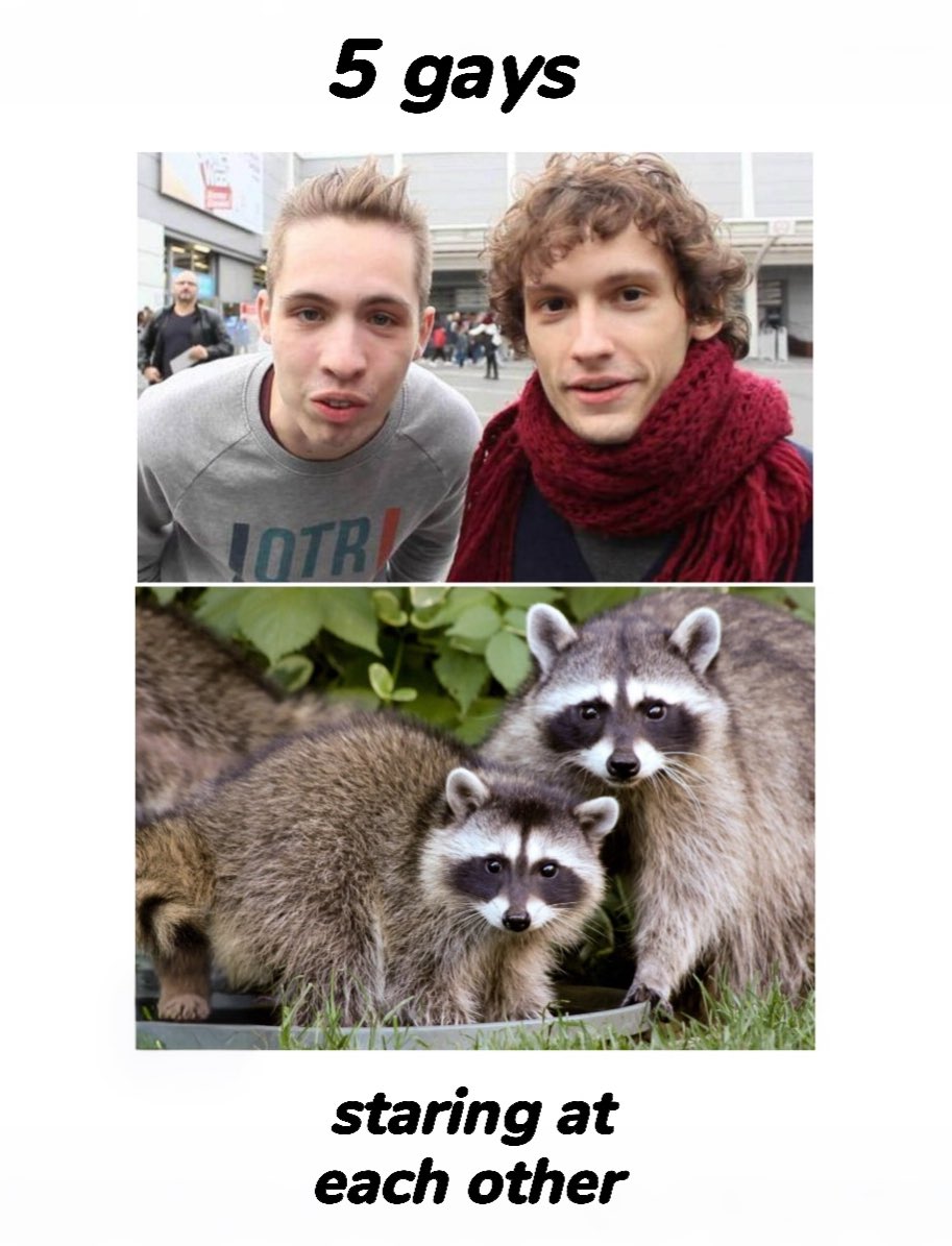 raccoon aesthetic. tweet media