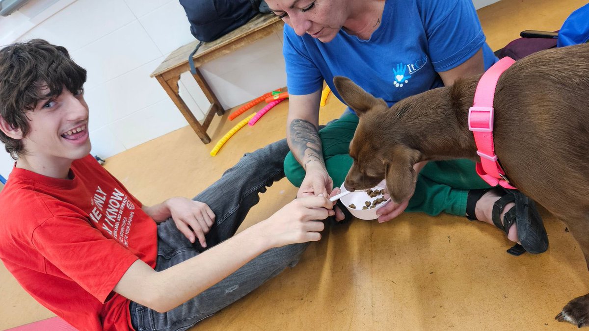 🙏🏻 Gràcies al suport de moltes entitats i fundacions, a RESPIR I LLEURE de 2024 hem pogut fer 10 respirs de cap de setmana, 9 Activitats d’Esplai Girajoc, 9 Activitats de grups d’amics, 5 Casals, 1 minicolònies i 2 torns de colònies. En total, 1249 atencions realitzades 🧡