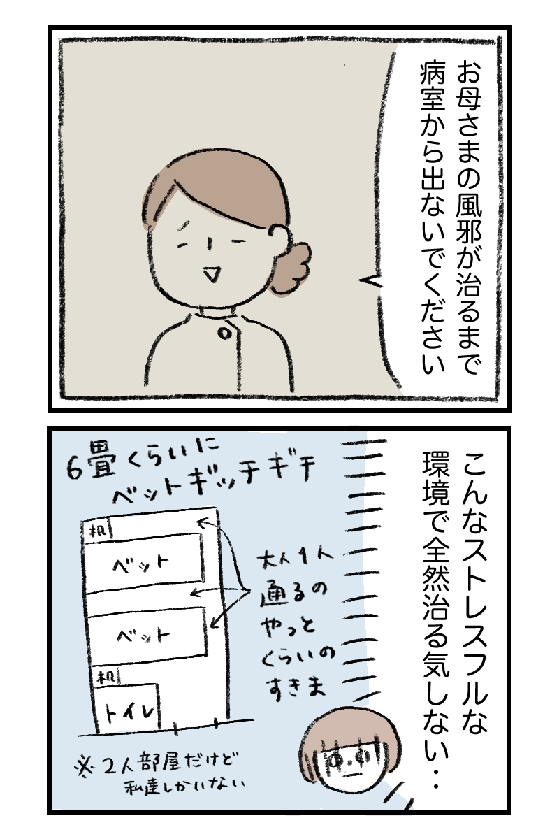 2/4 
