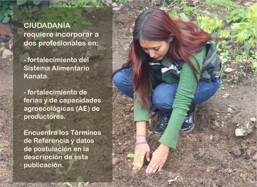 CIUDADANÍA requiere incorporar a dos profesionales en:
- fortalecimiento del Sistema Alimentario Kanata.
- fortalecimiento de ferias y de capacidades agroecológicas (AE) de productores.
Términos de Referencia y datos de postulación:
ciudadaniabolivia.org/wp-content/upl…
ciudadaniabolivia.org/wp-content/upl…