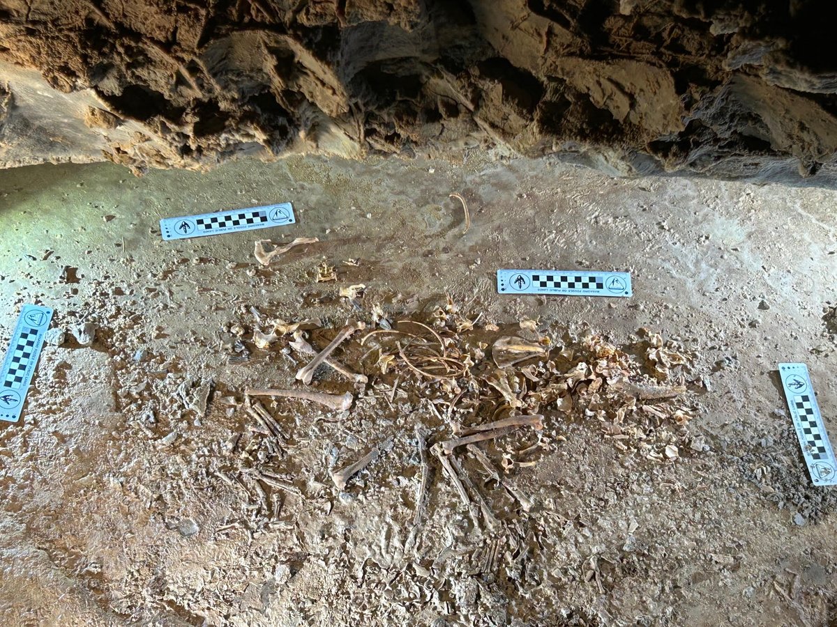 A furry flash from the past! 🦊🦴

A recent discovery in the Uinta Mountains unearthed the remains of an Ice Age fox.

Uncover the details of this exciting find and learn more here:  stateparks.utah.gov/2024/12/30/ice…