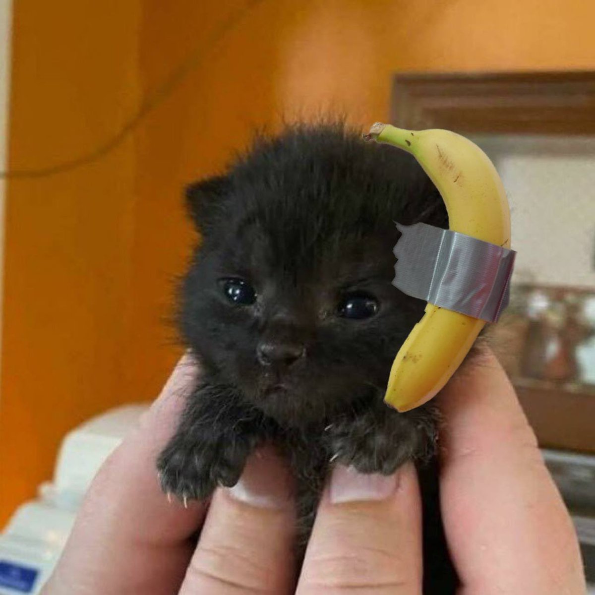 Mario726559's tweet image. $ITTY &amp;amp; $BTW