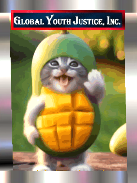 Global Youth Justice, Inc. tweet media