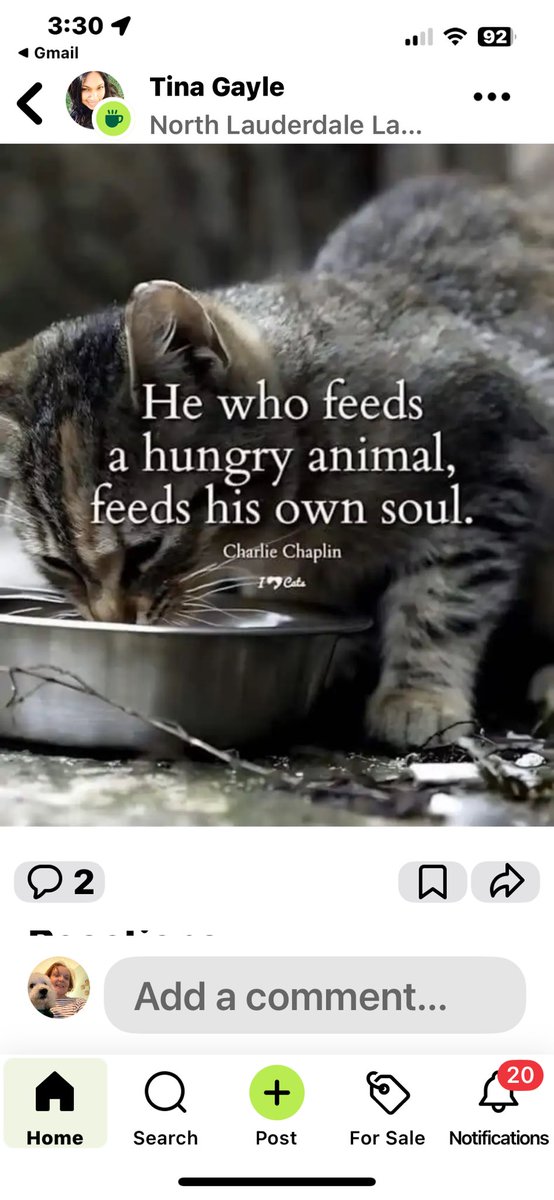 Donna J Flanagan (@djflanagan) on Twitter photo 