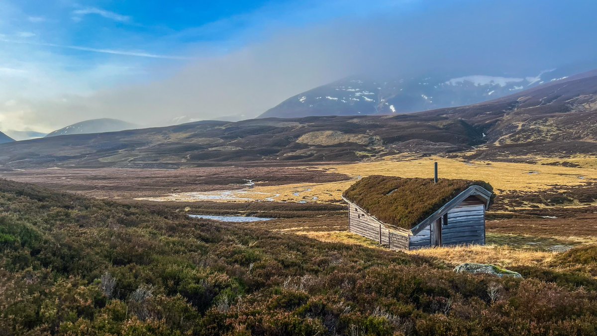 Rob Wicks tweet media