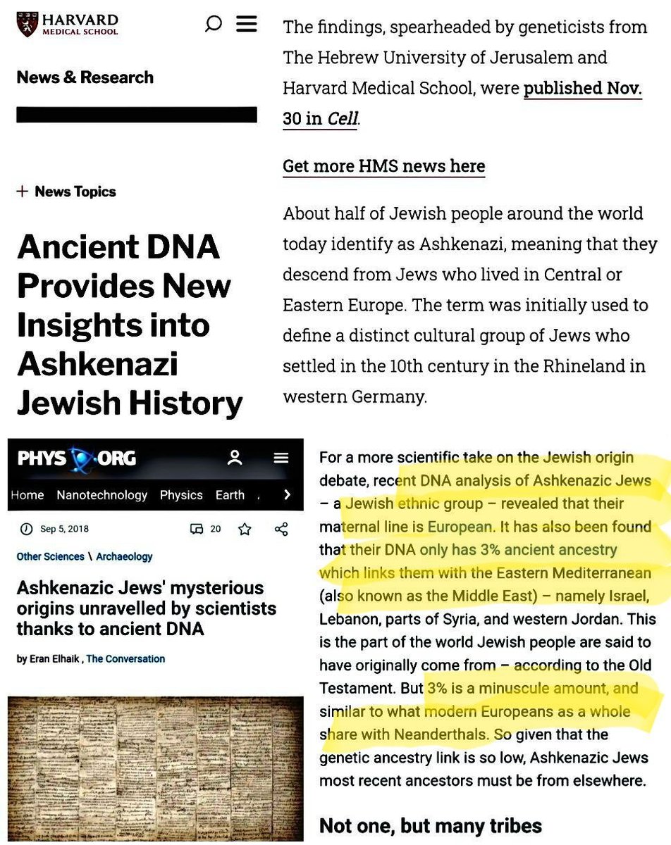 For2000years's tweet photo. @Uncommonsince76 The weirdest thing about all this is that globally, 80% of Jews are white. Ashkenazis are descendents of Khazarian converts and have little to no DNA connection to the middle east. It isn't brown Jews openly fantasizing about wiping out whites... it's white ones. 🤷‍♂️ https://t.co/bhTKMi0evM